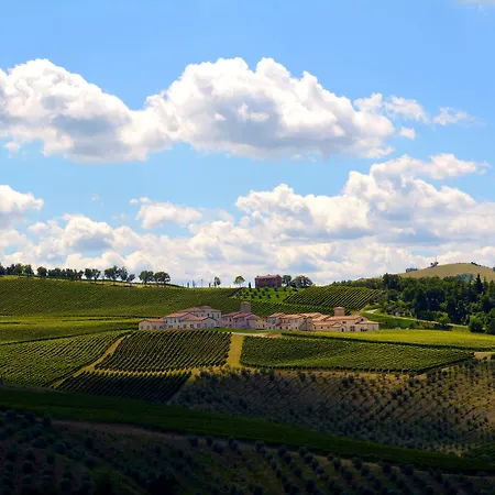 Borgo Conde Wine فورلي