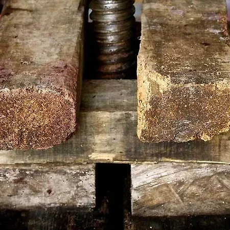 Borgo Conde Wine فندق فورلي