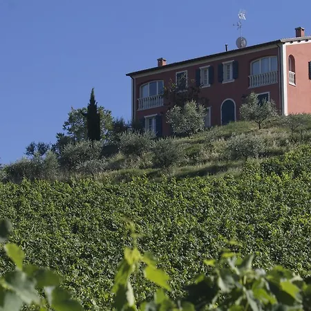 Borgo Conde Wine