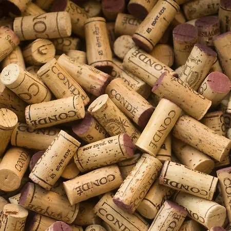 Borgo Conde Wine فندق فورلي