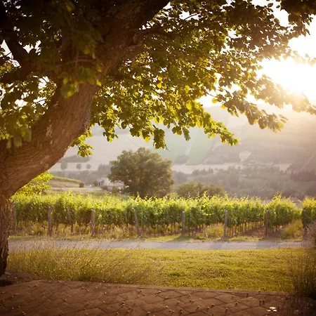 Borgo Conde Wine فندق