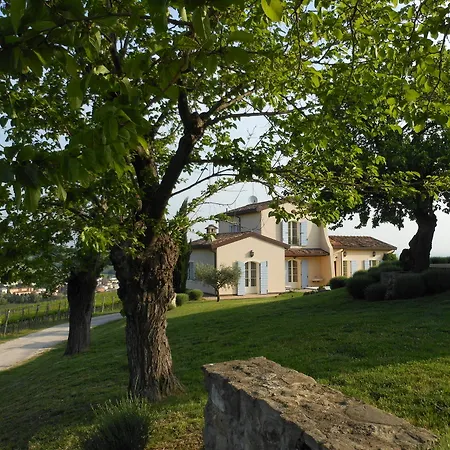 Borgo Conde Wine