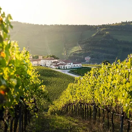 Hotel Borgo Conde Wine