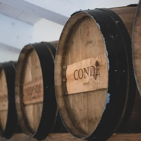 Borgo Conde Wine فندق فورلي