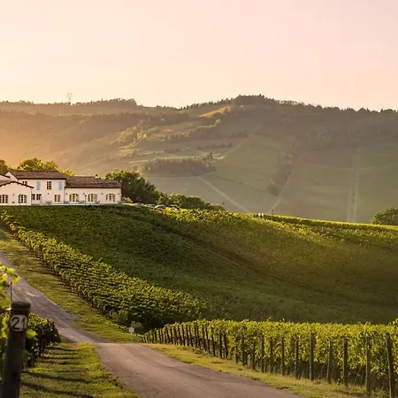 Borgo Conde Wine فورلي