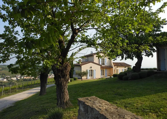 Borgo Conde Wine Forlì