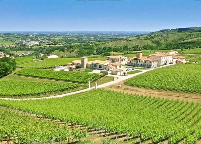 Hotel Borgo Conde Wine