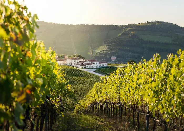 Hotel Borgo Conde Wine