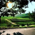Borgo Conde Wine 4* Forli