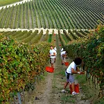 Borgo Conde Wine 4*
