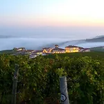 Borgo Conde Wine Forlì