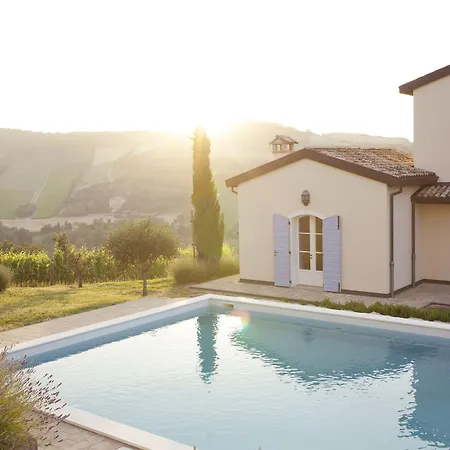 Borgo Conde Wine