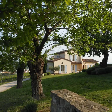 Borgo Conde Wine فورلي