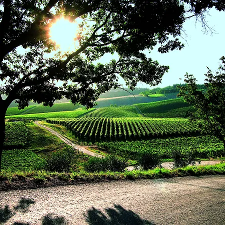 Borgo Conde Wine 4* Форли