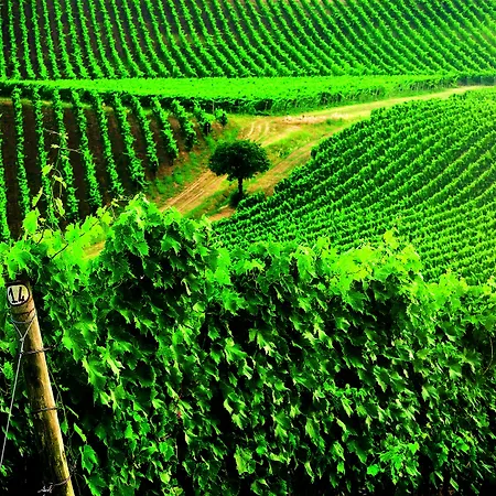 Otel Borgo Conde Wine 4*