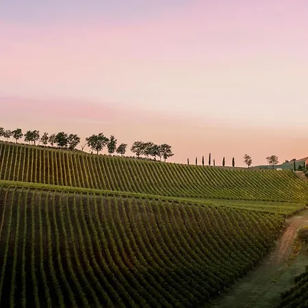 Borgo Conde Wine Форли