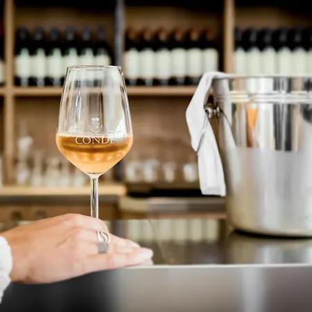 Borgo Conde Wine 4* Форли