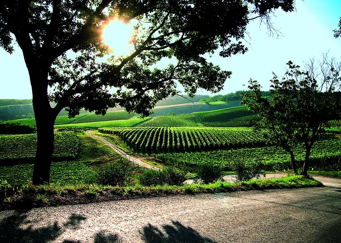 Borgo Conde Wine 4* Forlì