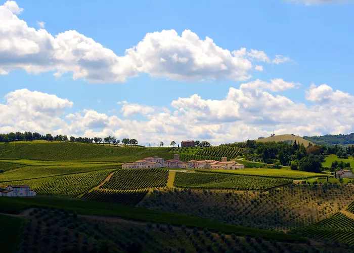 Borgo Conde Wine Forlì