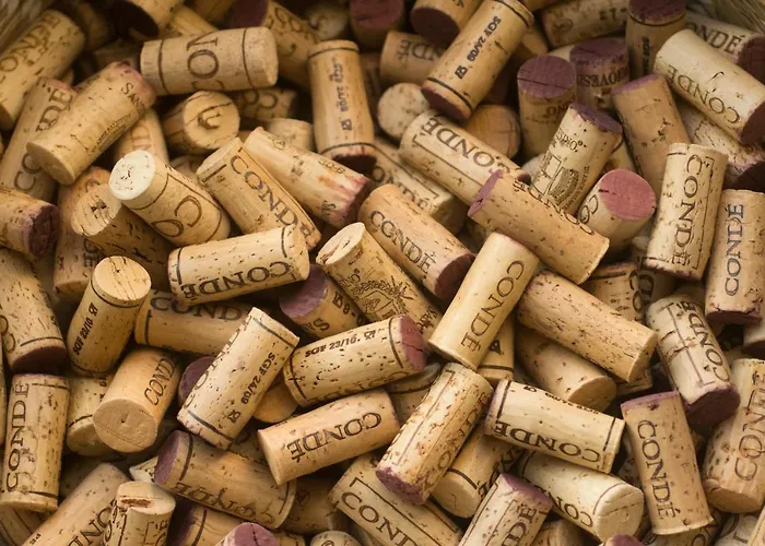 Borgo Conde Wine Otel Forlì