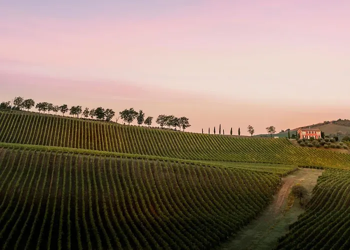 Borgo Conde Wine Forlì