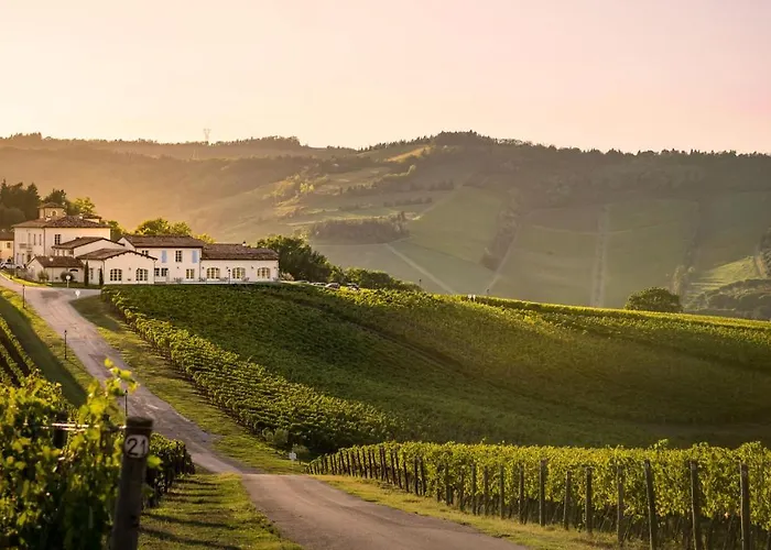 Borgo Conde Wine Forlì