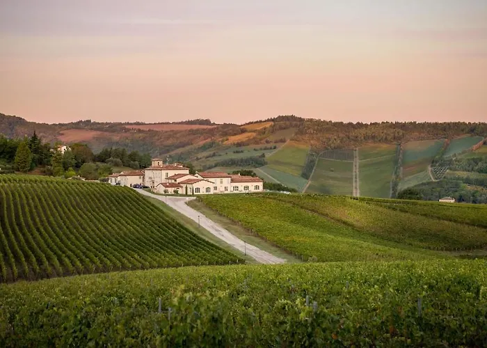 Borgo Conde Wine Forlì