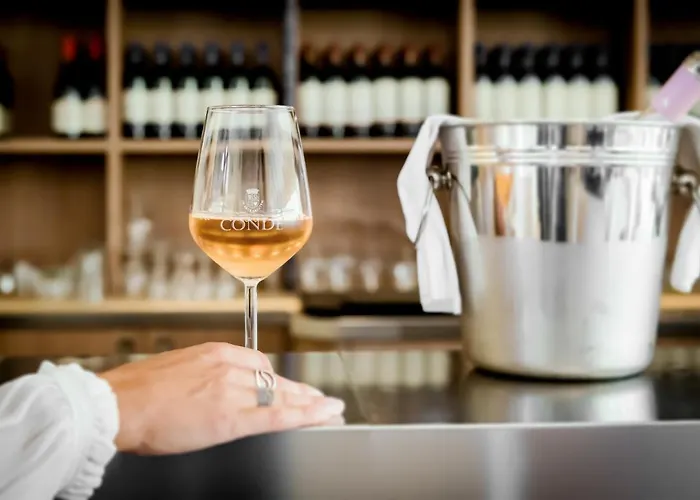 Borgo Conde Wine 4* Forlì